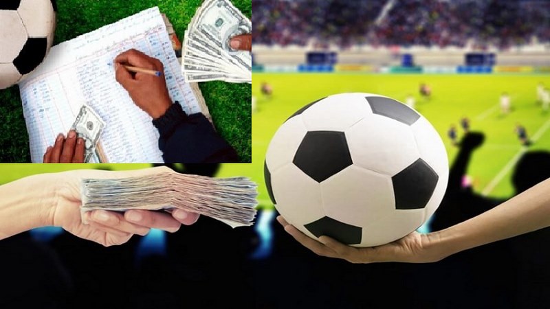 Cò bóng đá có nhiệm vụ gắn kết nhà cái và người chơi cá độ dafabet