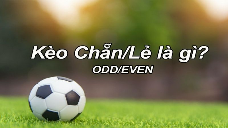 Tính tiền cược trong kèo chẵn lẻ Dafabet